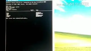 How to insert data in a table in Run SQL command line (single row insertion)