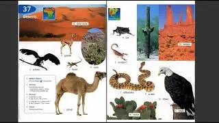 Longman Children Pictures Dictionary 37 Deserts