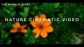 Nature cinematic video part 4 | Delhi
