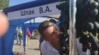 Золотая гроздь Украины 2020г.