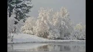 Зимний сон.