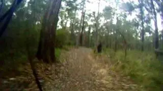 downhill out.AVI