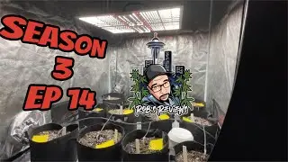 SPIDER FARMER GROW SERIES SF400 & 4x4