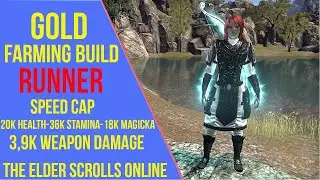 ESO Gold Farming Build - Runner - Gold Farming Build Guide (2021)