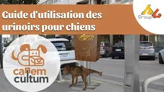Canem CUltum, Manuel de l'Utilisateur