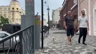PMC 
