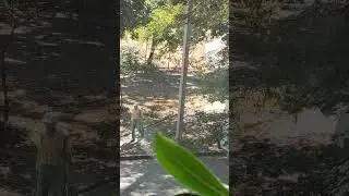 Сухое лето выдалось в этом году у нас