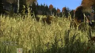 DayZ StandAlone - в поисках лука - часть 1 [ v.0.44.119.500]