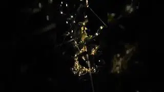 Гирлянда ночью