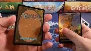 Why Am I Complaining? Modern Horizons 3 Collectors Booster Box Opening Magic The Gathering MTG MH3