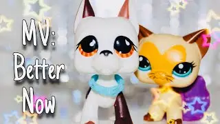 MV: Better Now ft. Sugar Diamond (200th Video Special!)