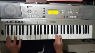 Boran fırtınası Yamaha psr a300tr