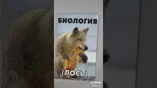 1 апреля 2023 г.