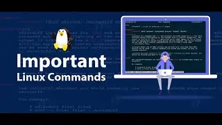 💡 Learn How to View and Edit Files in Linux | Beginner-Friendly Guide ⚡