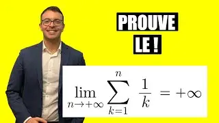 Limite d'une somme harmonique - Série harmonique