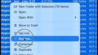 Batch-Rename Files (the ReplaceText option) on Mac
