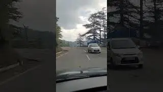 Summer Trip #himachal #shimla - Kurfi