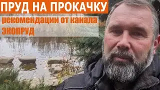 Рекомендации от Экопруд/Пруд на прокачку/Пруд своими руками