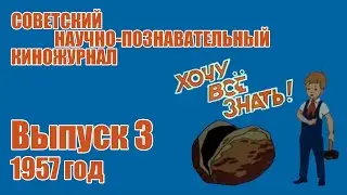 Киножурнал 