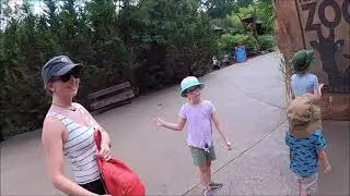 The Nashville zoo, July 2023.  A great family vacation.