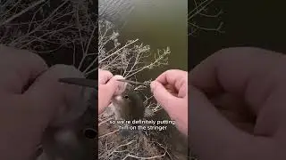 Eating the First Fish I Catch From the Creek!