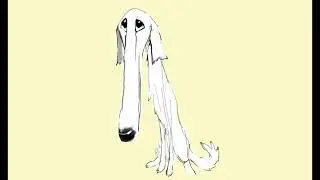 long nose dog