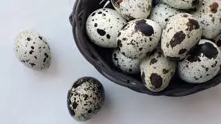 БӨДЕНЕ ЖҰМЫРТҚАСЫНЫҢ ПАЙДАСЫ.