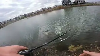 Big bass on a chatterbait