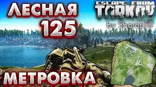Стрелок от Бога 🎥 125 Метровка в ЛЕСУ | Гайд по Позициям