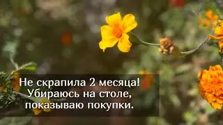 Не скрапила 2 месяца! Убираюсь на столе, показываю покупки. Скрапбукинг
