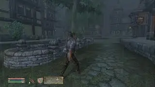 The Elder Scrolls IV: Oblivion ► Гильдии Лейавина ► №57