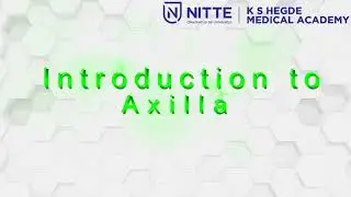 1 Demonstration introduction to axilla Final