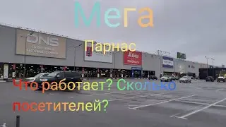 Мега Парнас. Большой ТЦ и мало посетителей.