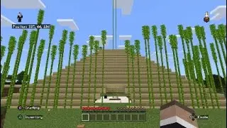 The Perfect World - A Quarantine Minecraft World