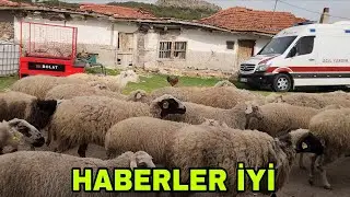 ACİİL YARDIM..HABERLER İYİ..GÜBRE İLAÇ BİR ARADA..TOST VE BİBER YENİR