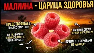 This is what happens to your body if you eat raspberries EVERY DAY! A true story!