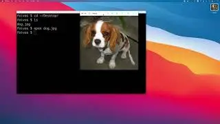 how to convert a jpeg to pdf from mac terminal