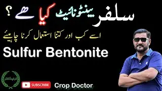 Reality of Bentonite Sulfur