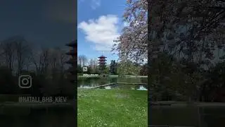 Істинне призначення жінки