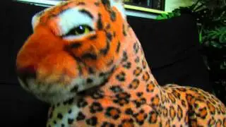 Tiger Dad is ashamed..