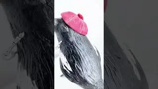 Интерьерная игрушка «Сорока», хендмейд.