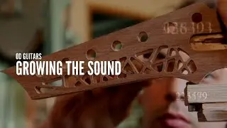 OD Guitars - Growing the sound