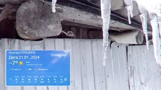 ВОСКРЕСНОЕ КУПАНИЕ 21.01.24