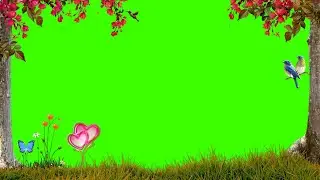 Love Green Screen Template Video Background | Heart Green Screen Background Video Effects HD