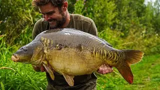 50lb Carp and Park Raves