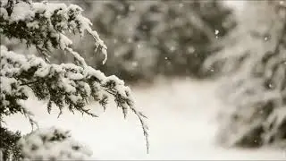 Когда мне встречается в людях дурное (Эдуард Асадов)