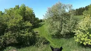 rolling hills