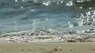 Море и чайки. Голубицкая, Кучугуры, Азовское море