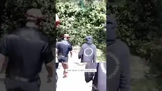 had to go to mexico to figure out the statement