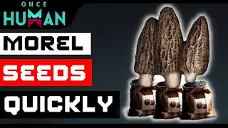 Once Human: Morel & Morel Seeds Location (Manibus)